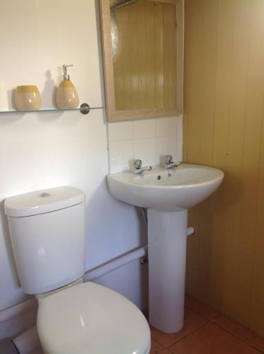 a bathroom with a white toilet and a sink at Cowshed Cottage located nr Kynance cove in Lizard