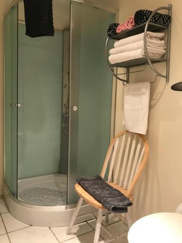 uma casa de banho com um chuveiro, uma cadeira e um espelho. em 1 Bedroom Peaceful setting Lake Views em Bommiers