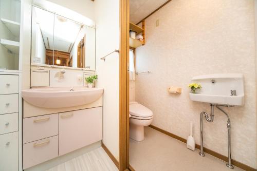a bathroom with a sink and a toilet and a mirror at Awaji egaosakuie in Sumoto in Sumoto