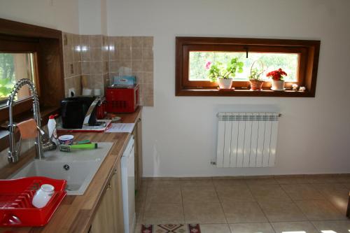une cuisine avec un évier et une fenêtre ornée de plantes en pot dans l'établissement Albinuta Guesthouse, à Ozun