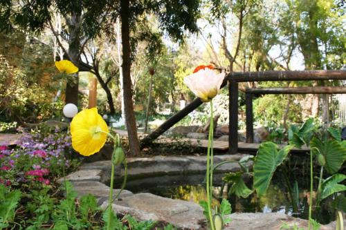 Jardín al aire libre en Jedidja Bed and Breakfast