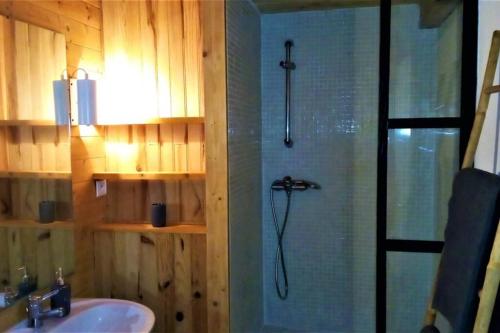 Liausson的住宿－Studio 32m2 - dans propriété avec vue imprenable sur le Lac du Salagou，带淋浴和盥洗盆的浴室