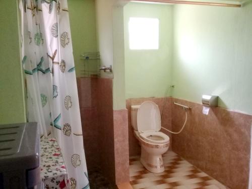 a bathroom with a toilet and a shower at 2 bedrooms appartement with furnished terrace and wifi at Vacoas Phoenix in Réunion