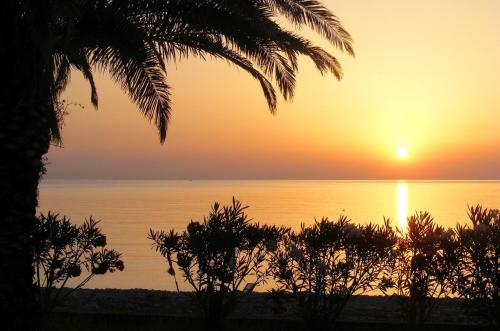 um pôr-do-sol sobre o oceano com uma palmeira em One bedroom appartement with wifi at Montegiordano 9 km away from the beach em Montegiordano