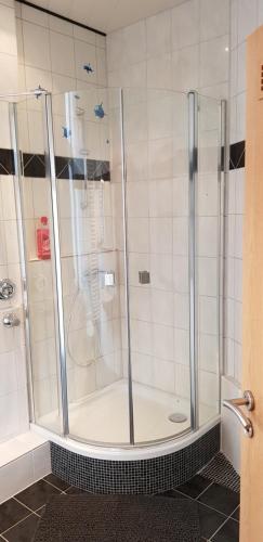 W łazience znajduje się prysznic ze szklanymi drzwiami. w obiekcie ELENA flat Lavendel Duisburg Zentrum w mieście Duisburg