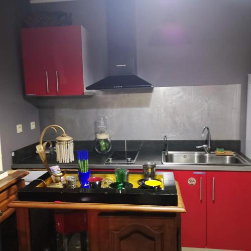 una cocina con fregadero y encimera en Appartement charmant à Saint-Leu avec vue sur la mer, 45 m², en Saint-Leu