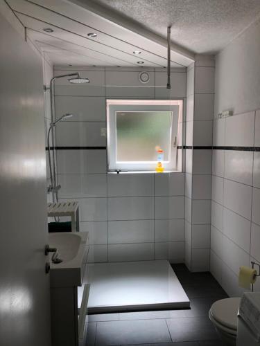 La salle de bains est pourvue d'un lavabo et d'une fenêtre. dans l'établissement Apartment Ida, à Innsbruck