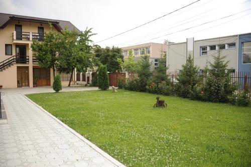 a yard with a dog sitting in the grass at Pensiunea Velvet in Iaşi