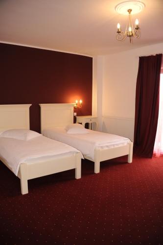 two beds in a hotel room with red carpet at Pensiunea Velvet in Iaşi