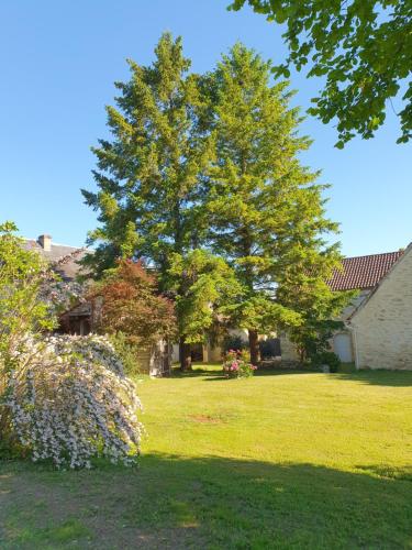 Gallery image of TRUITE FARIO, FISH AND GITES in Lanzac