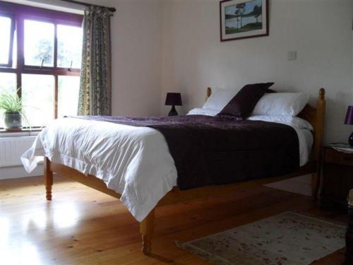 1 dormitorio con 1 cama grande en una habitación con ventana en Lovely Sea View Apartment in Rineen - 4 guests, en Skibbereen