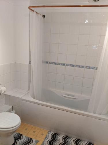 Bilik mandi di Oaklawn serviced apartments