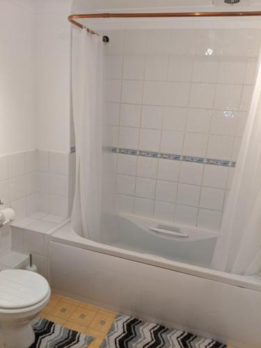 a bathroom with a tub and a toilet and a shower at Oaklawn Apartment - Sleeps 4 Parking & Garden in Woking