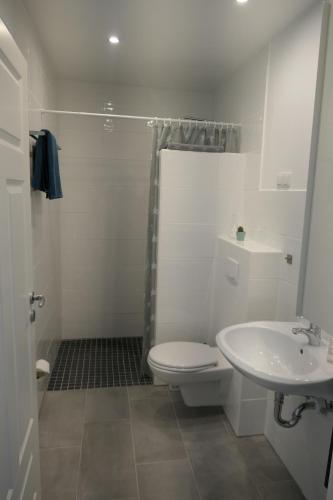 a white bathroom with a toilet and a sink at Apartment Erdgeschoss in Hohenlockstedt