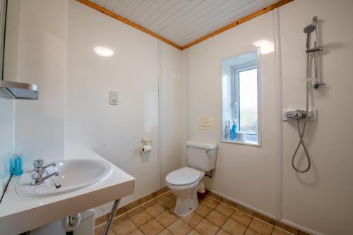 a bathroom with a toilet and a sink and a shower at Old School House -Yorkshire Dales National Park in Weathercote