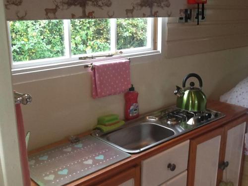 a kitchen with a sink and a stove and a window at Cosy Shepherds Hut nr Kynance cove in Lizard