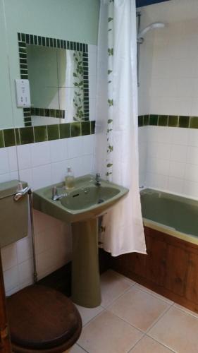 a bathroom with a sink and a tub and a toilet at Inviting 2-Bed Cottage in Newcastle Emlyn in Newcastle Emlyn