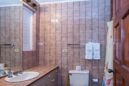 a bathroom with a sink and a toilet and a mirror at Villa Viento in St Mary