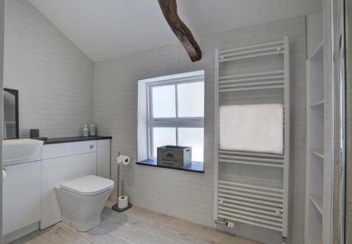 a bathroom with a toilet and a window at Superb Sea View Apartment in Lynmouth