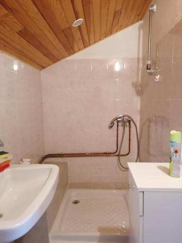 een badkamer met een douche, een wastafel en een bad bij La casa de toto in Savines