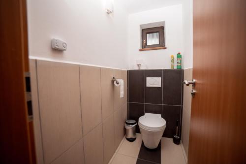 a small bathroom with a toilet and a mirror at Chalupa U Ptáčků in Kamenice nad Lipou