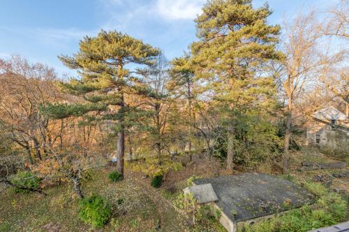 an overhead view of a garden with trees at Les Suites de l'Ile Barbe in Lyon