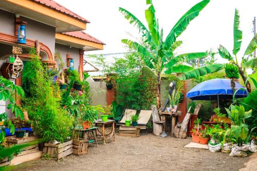 a garden with a bunch of plants and an umbrella at Savannah House in Arusha