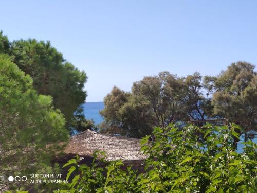 Gallery image of Porto Koundouros Beach and Villas in Koundouros