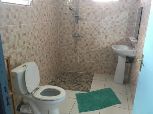 a bathroom with a shower and a toilet and a sink at Les Gîtes De L'union in Les Abymes