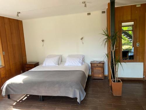 Un dormitorio con una cama grande y una maceta en French Andes Apart Hostel, en Pucón
