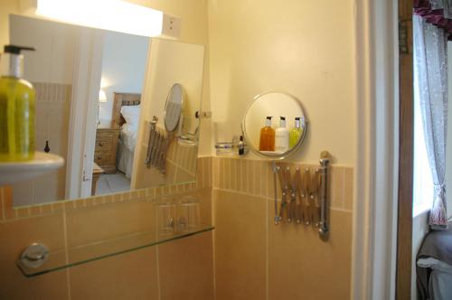 a bathroom with a mirror and a sink at Newcourt Barton in Cullompton