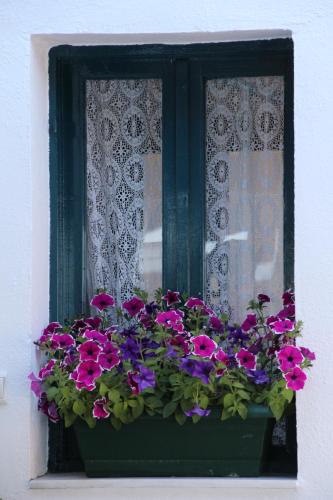 a window with a pot of flowers on a window sill at Hotel Porto Loutro on the Hill in Loutro