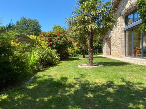 a palm tree in a yard next to a building at Grange de la Menagerie in Mouilleron-le-Captif
