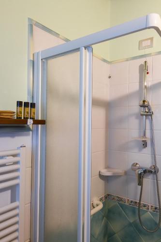 a shower with a glass door in a bathroom at Agriturismo Vecchio Gelso in Ortezzano
