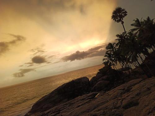 a palm tree on a rocky beach with the ocean at Vaiga Home Stay in Kovalam