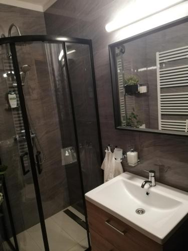 a bathroom with a shower and a sink and a mirror at Family Apartments in Donovaly