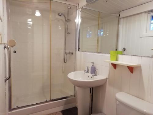 baño blanco con ducha y lavamanos en Devon Eco Lodges en Winkleigh