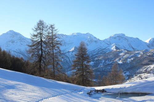 a snow covered mountain with trees and mountains in the background at Case Vacanza Perron in Sauze dʼOulx