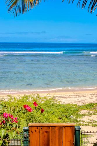 a view of the beach with flowers and the ocean at Ô Lagon ! Pieds dans l'eau au lagon de l'Ermitage in Filaos