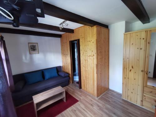 a living room with a blue couch and wooden walls at Pension U Jelinka in Nové Hamry