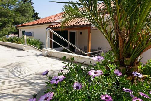 Κήπος έξω από το Apartments Vala