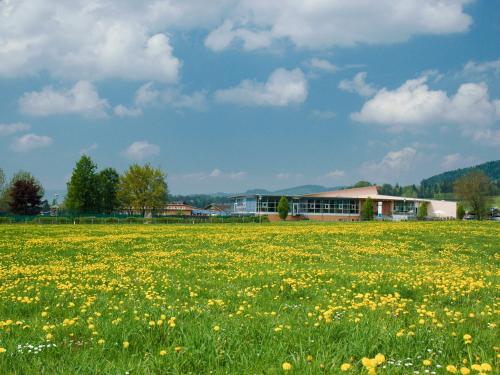 a field of yellow flowers in front of a building at Vitalhotel Quellengarten - Bed & Breakfast in Lingenau
