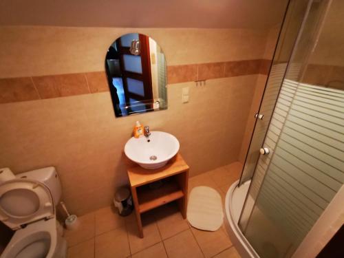 a bathroom with a sink and a toilet and a mirror at Agroturystyka Klęk in Stryków