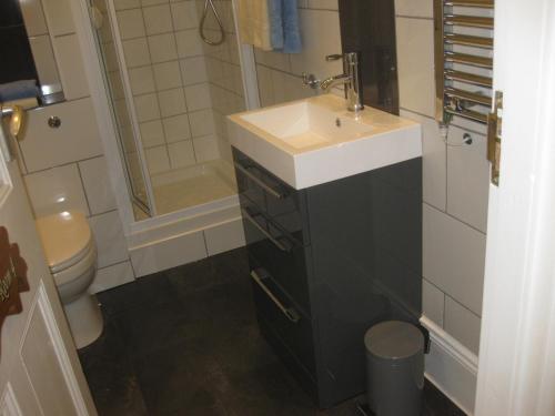 Vonios kambarys apgyvendinimo įstaigoje Acorns Guest House