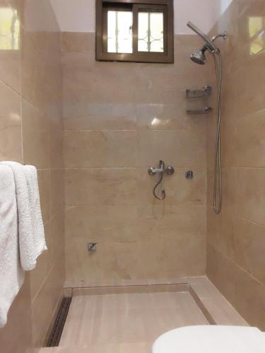 een badkamer met een douche en een glazen deur bij Riyan Apartment in Kololi