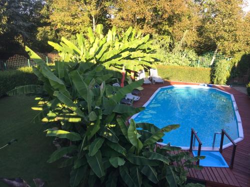 Villa Grazia 8380 Hévíz, Attila u. 104 kép - 3