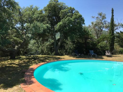 - une piscine dans une cour arborée dans l'établissement Maison charmante à Montauriol avec jardin et piscine privée., à Montauriol