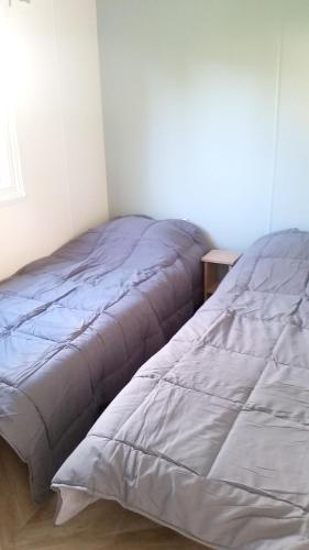 - 2 lits dans une chambre avec un couvre-lit dans l'établissement Bungalow charmant à Onzain avec vue sur jardin, à Onzain