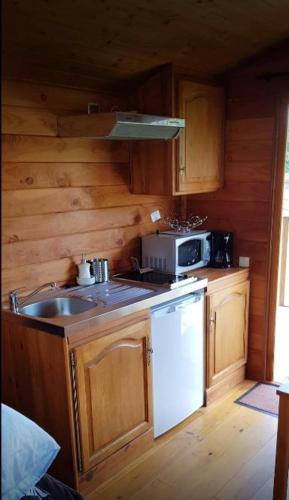 une cuisine avec un évier et un micro-ondes dans l'établissement Charmant studio à Villers Sur Mer - 20 m² avec balcon jardin,, à Villers-sur-Mer