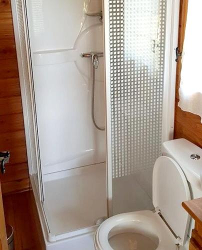 une petite salle de bain avec toilettes et douche dans l'établissement Charmant studio à Villers Sur Mer - 20 m² avec balcon jardin,, à Villers-sur-Mer